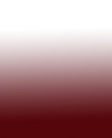 GarageVac Compact Vacuum System-Maroon